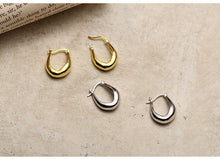 Load image into Gallery viewer, Geometric Earrings S925 Sterling Silver Metallic European American style ins niche designer Earrings oval ear studse954t
