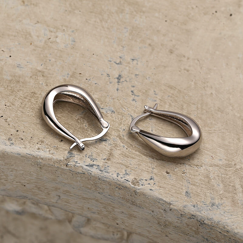Geometric Earrings S925 Sterling Silver Metallic European American style ins niche designer Earrings oval ear studse954t